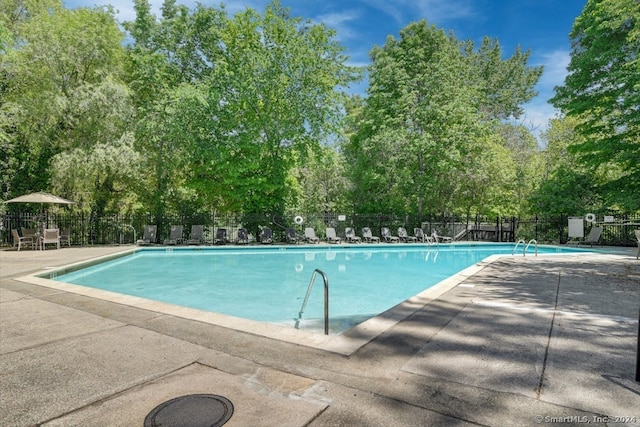 view of swimming pool featuring a patio