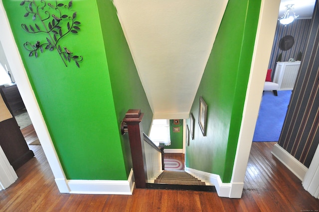 staircase with wood-type flooring