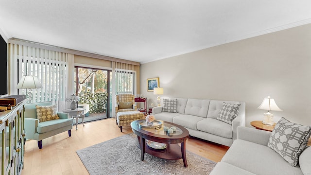 living room with ornamental molding and light hardwood / wood-style flooring