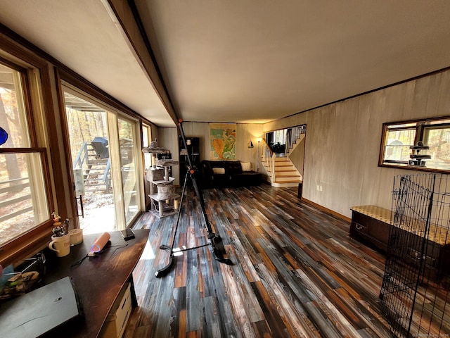 living room featuring plenty of natural light, wood walls, and dark hardwood / wood-style floors