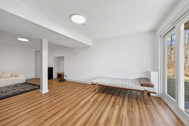 basement with light hardwood / wood-style flooring