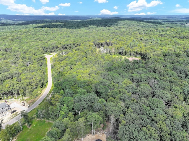 3 Copley Rd, Haddam, CT 06441 - photo 4