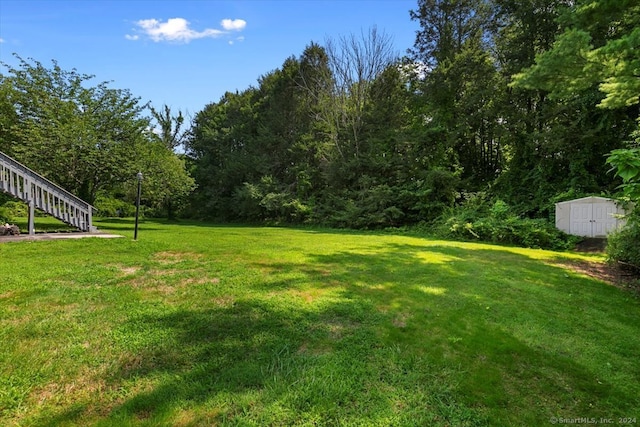 view of yard featuring a storage shed