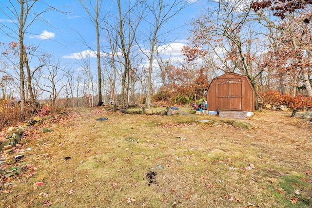 view of yard with a storage shed