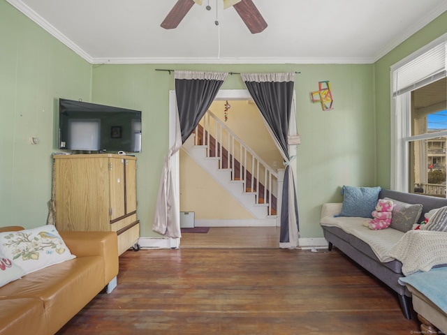 living room featuring ceiling fan, dark hardwood / wood-style flooring, and ornamental molding