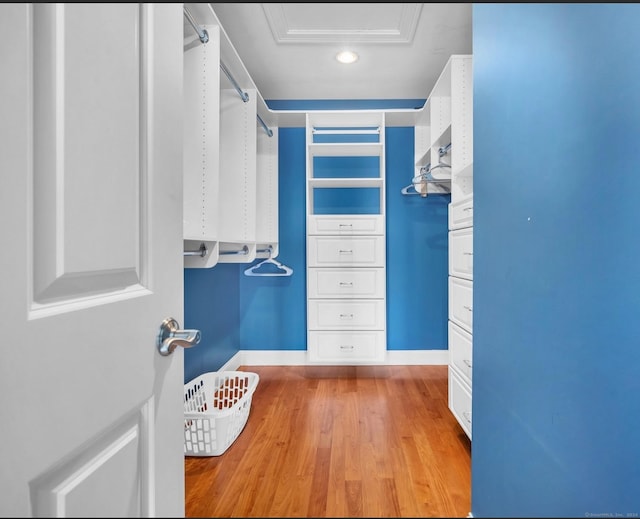 spacious closet featuring light wood-type flooring