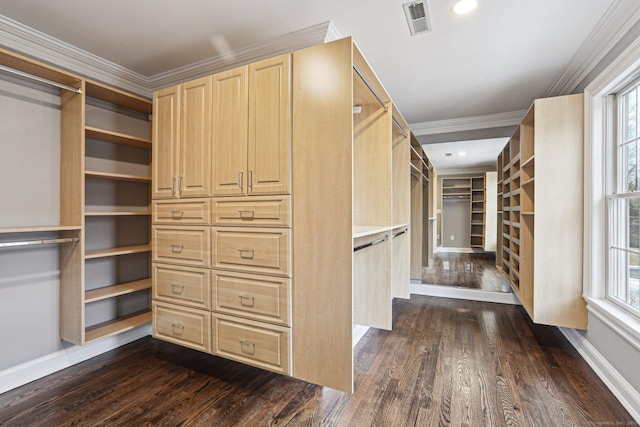 spacious closet with dark hardwood / wood-style floors