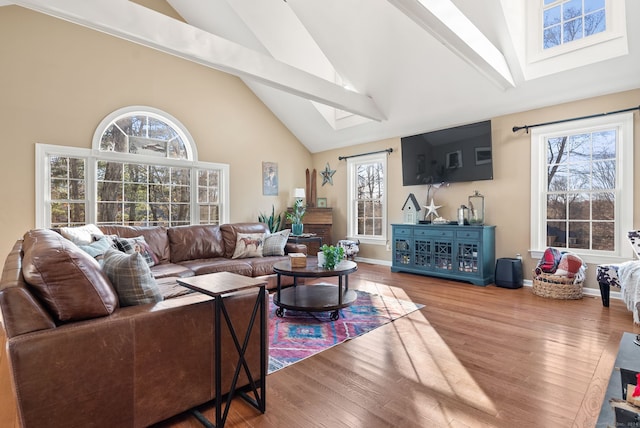 living room with hardwood / wood-style floors and a wealth of natural light