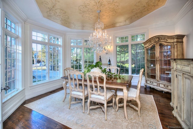 dining room featuring plenty of natural light and dark wood-type flooring