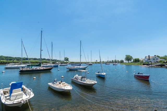 property view of water with a dock