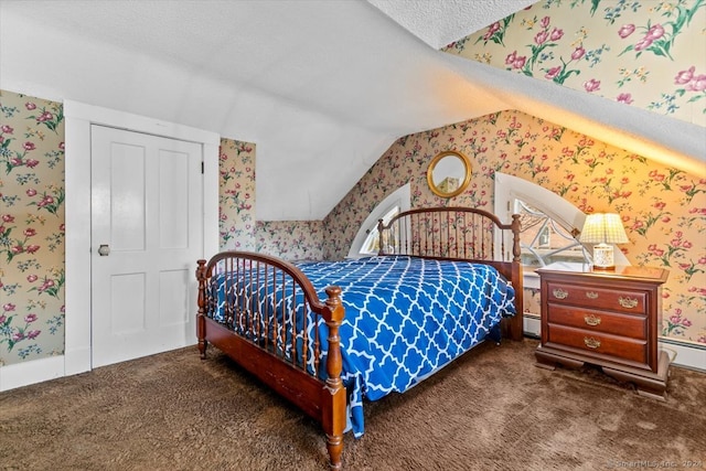 carpeted bedroom featuring a closet, lofted ceiling, and a textured ceiling