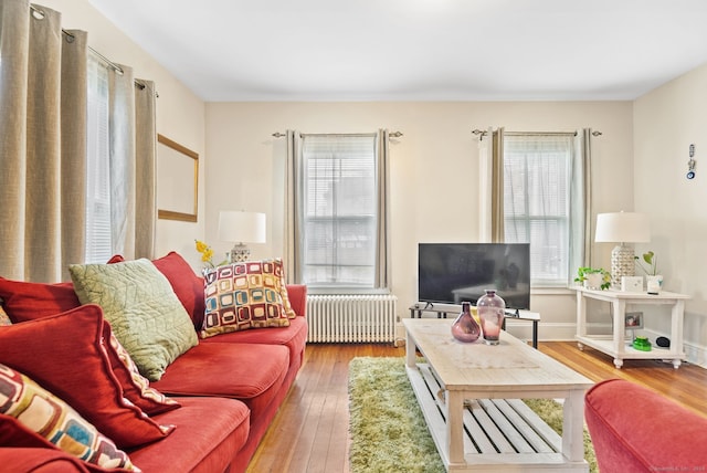 living room with radiator and hardwood / wood-style flooring