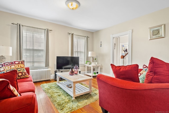 living room with radiator and hardwood / wood-style flooring