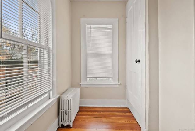 hallway featuring a wealth of natural light, light hardwood / wood-style floors, and radiator