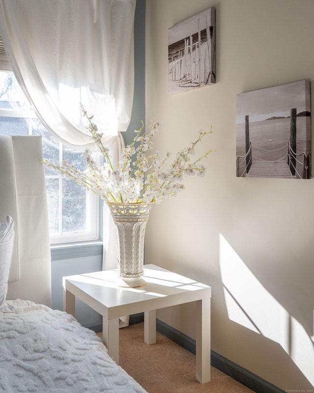 room details featuring carpet flooring