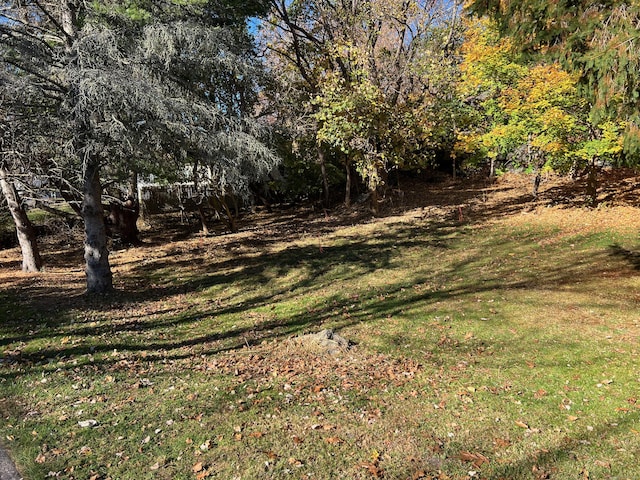 6 Alexander St, Norwich, CT 06360 - photo 2