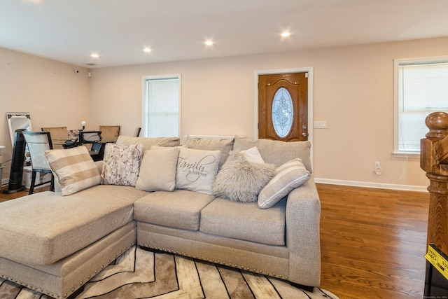 living room featuring hardwood / wood-style flooring