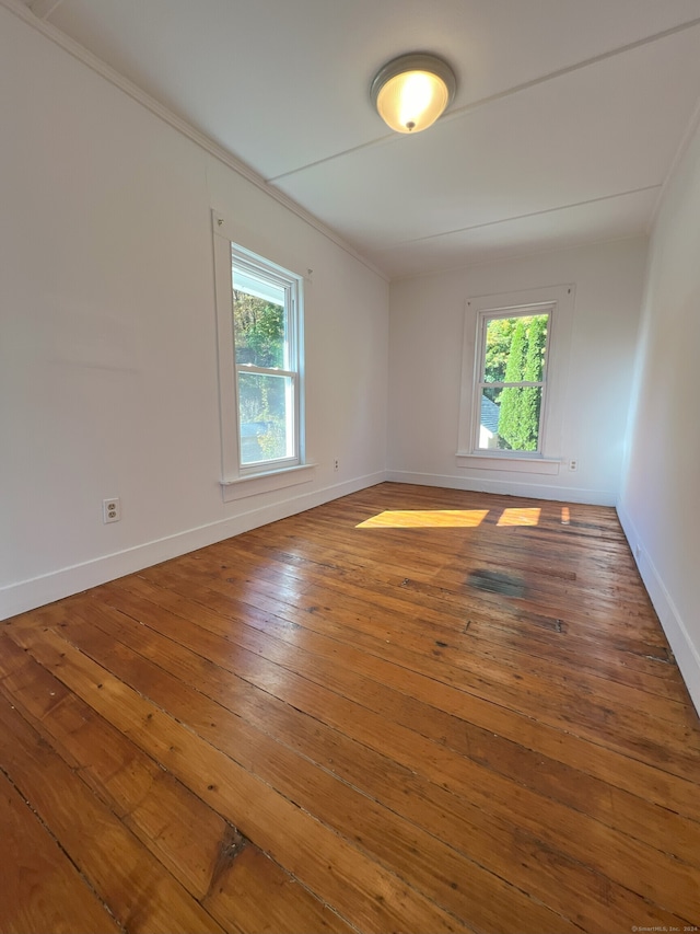 spare room with plenty of natural light and wood-type flooring