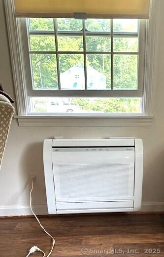 details with baseboards and wood finished floors