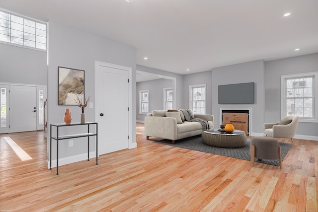 living room with light hardwood / wood-style flooring