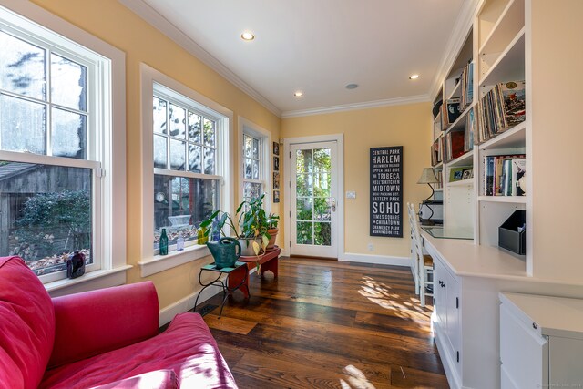 office featuring crown molding and dark wood-type flooring