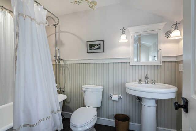 bathroom with toilet, vaulted ceiling, and sink