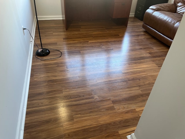 room details featuring wood-type flooring