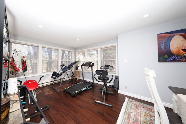 exercise room featuring dark hardwood / wood-style floors