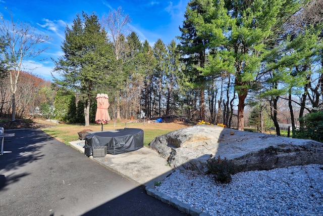 view of yard with a patio area