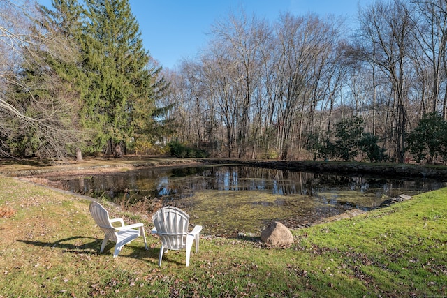 view of yard with a water view