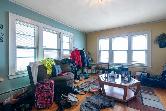 living room featuring wood-type flooring, a healthy amount of sunlight, and crown molding