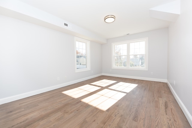 empty room featuring a wealth of natural light and wood-type flooring