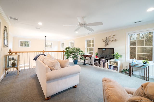 carpeted living room with ceiling fan and crown molding