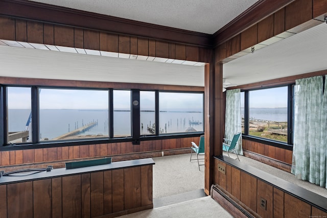 sunroom featuring a water view and a baseboard radiator