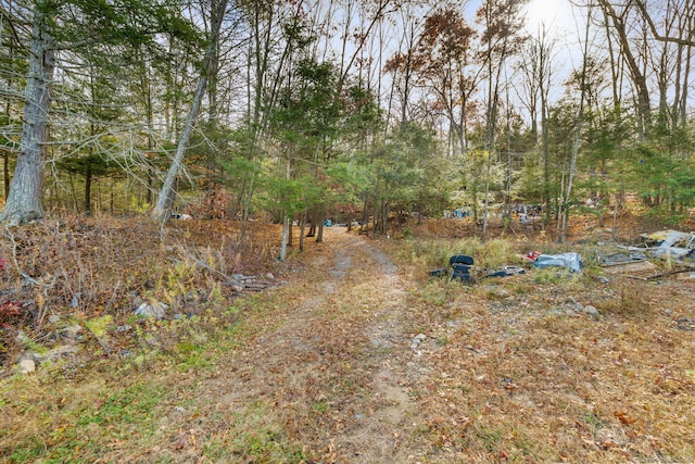 664 Rte 6, Andover, CT 06232 - photo 16