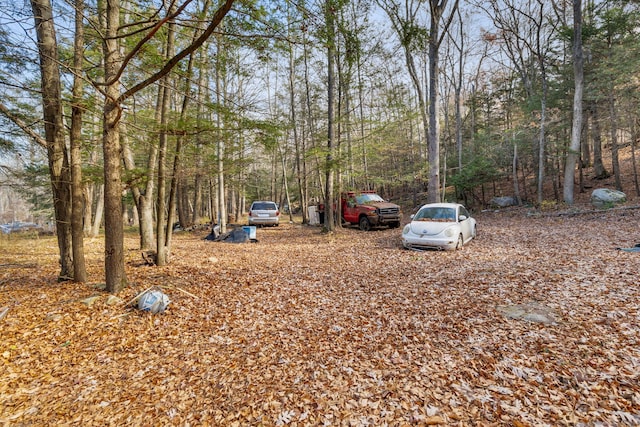 664 Rte 6, Andover, CT 06232 - photo 17