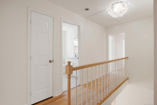 hall with light hardwood / wood-style floors