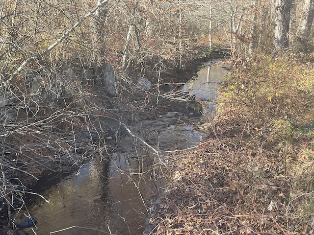 view of local wilderness featuring a water view