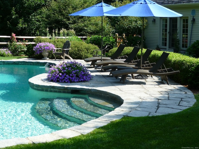 view of swimming pool featuring a patio