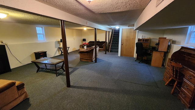 basement featuring carpet and a textured ceiling