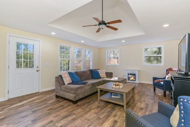 living room featuring a raised ceiling, ceiling fan, and dark hardwood / wood-style flooring