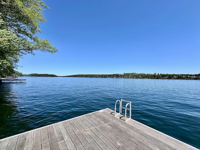 dock area with a water view