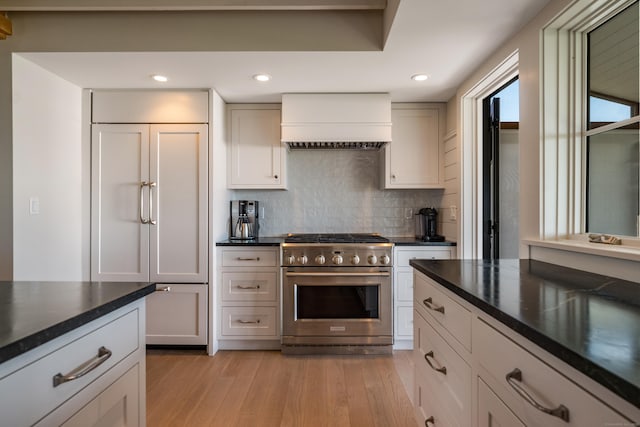 kitchen with white cabinetry, custom range hood, tasteful backsplash, light hardwood / wood-style flooring, and premium appliances