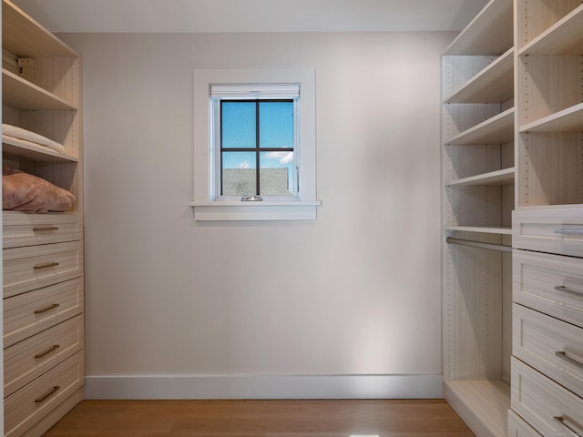 walk in closet featuring light hardwood / wood-style flooring