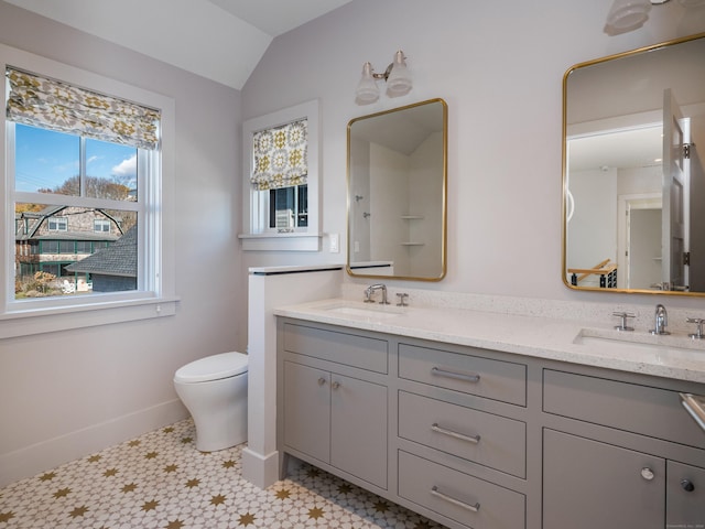 bathroom with toilet, vanity, and vaulted ceiling