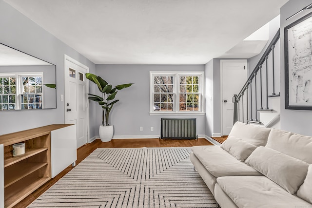 living room featuring wood-type flooring, plenty of natural light, and radiator