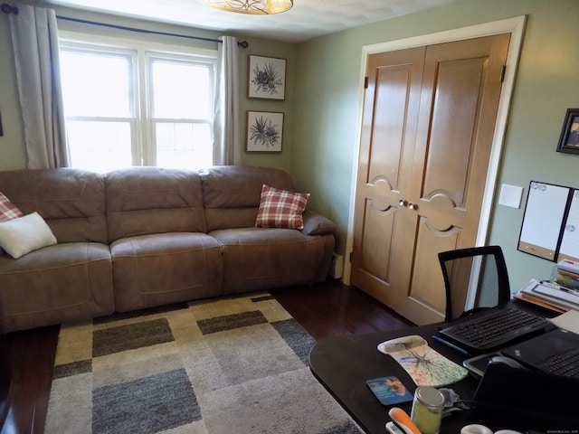 living room with dark wood-type flooring