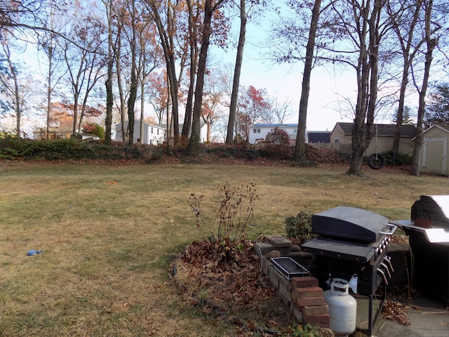 view of yard featuring a shed