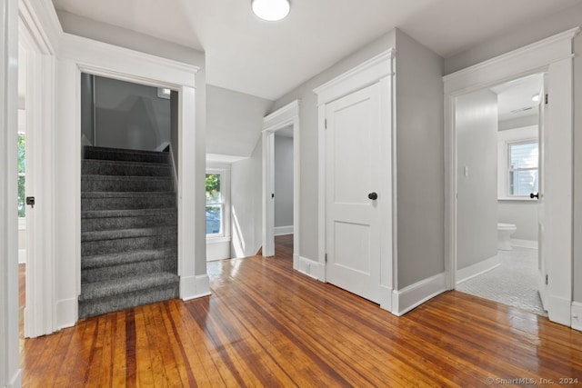 entryway with dark hardwood / wood-style flooring