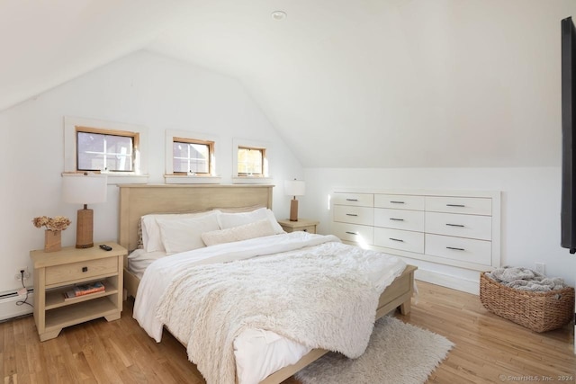 10 N Beaver Dam Rd, Salisbury, CT 06068 - bedroom with light wood-style floors and lofted ceiling